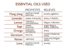 Load image into Gallery viewer, Rest Travel Tin